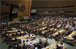 Ấn Độ nhấn mạnh phải cải tổ Đại hội đồng Liên Hợp Quốc